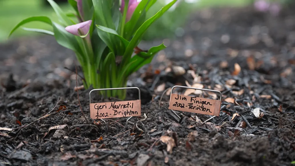 Copper memorial markers for Geri Navratil and Jim Finigan beside a tulip