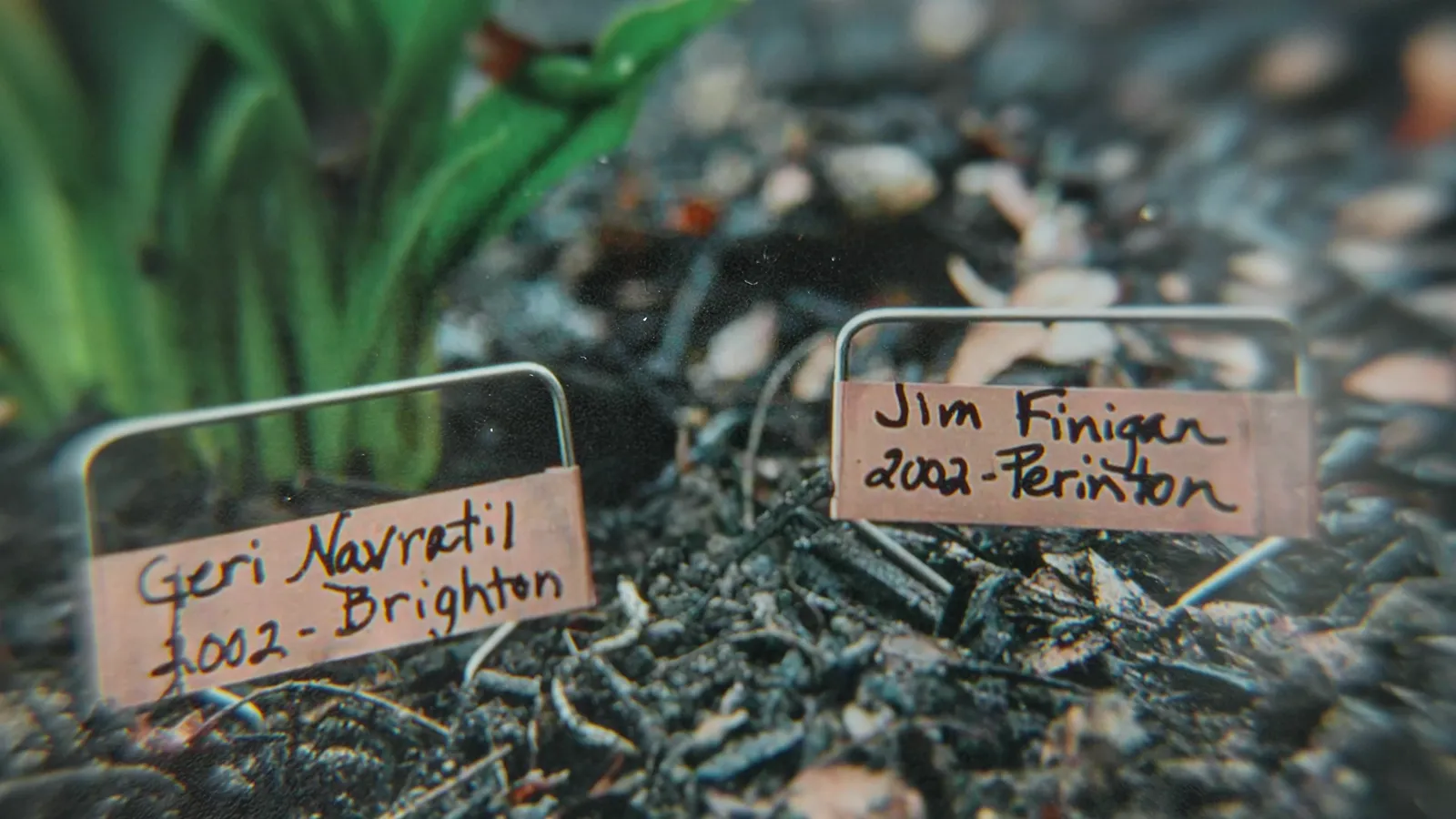 Copper garden markers for Geri Navratil and Jim Finegan in the memorial garden